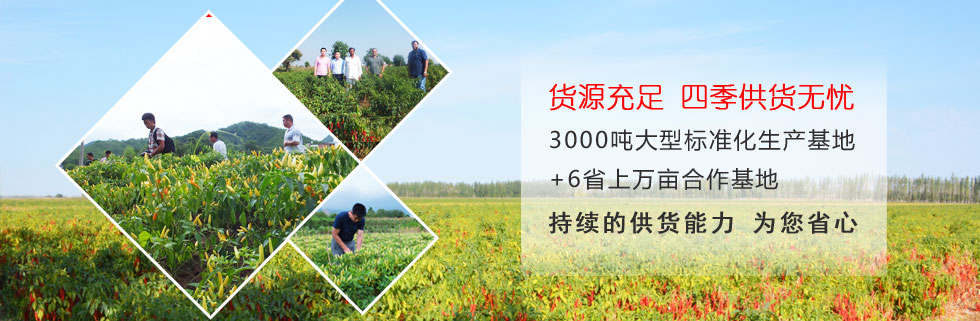 匡老五辣業銷售網絡覆蓋全國